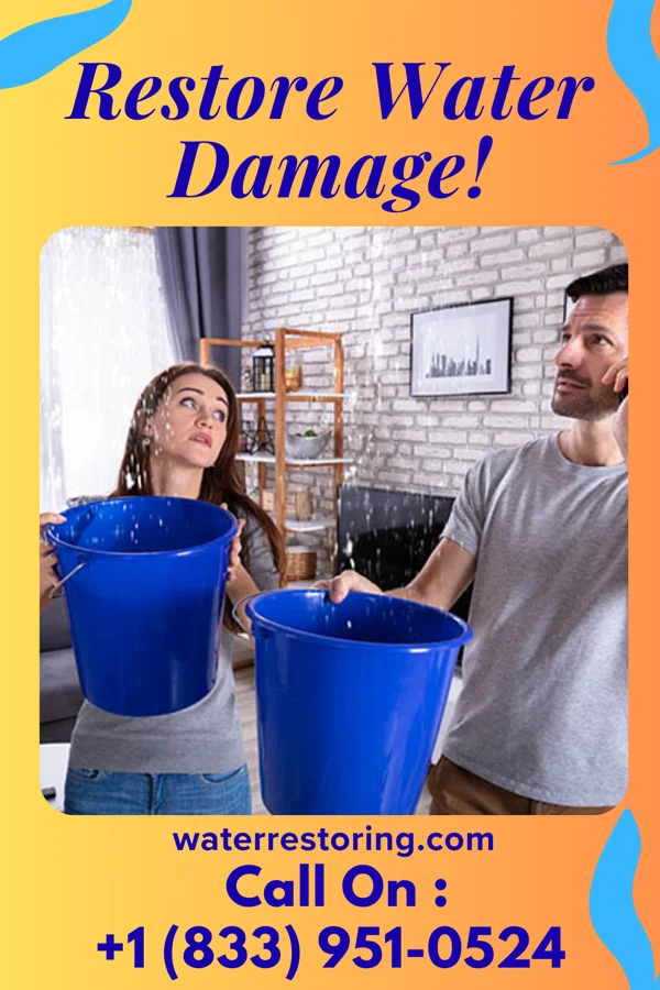 water restoration Titan Sewage Cleanup LLC Carrollwood