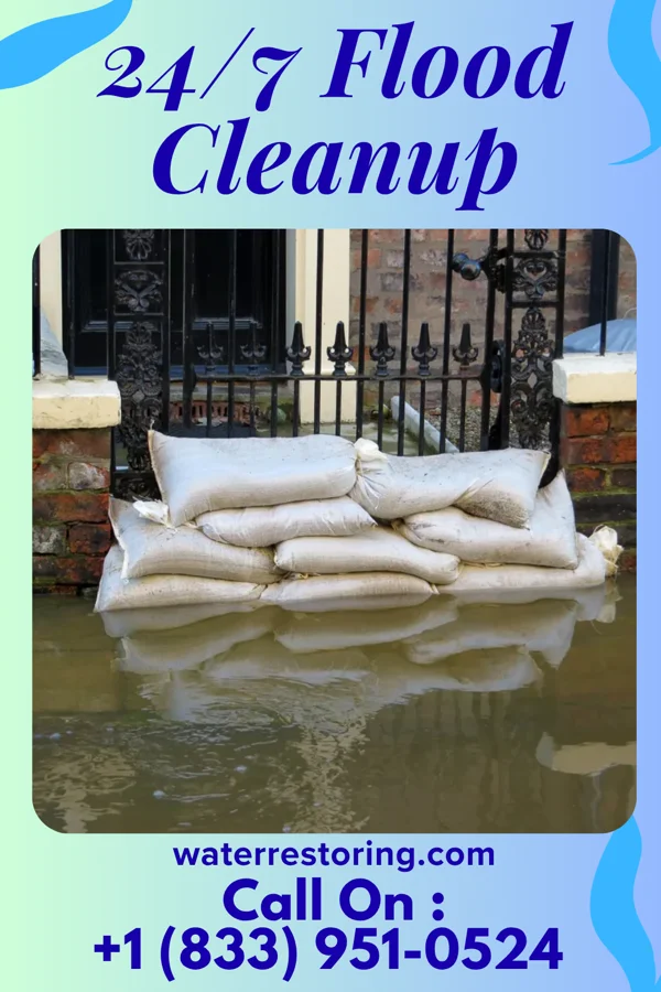 24/7 Flood Cleanup in Carrollwood, FL