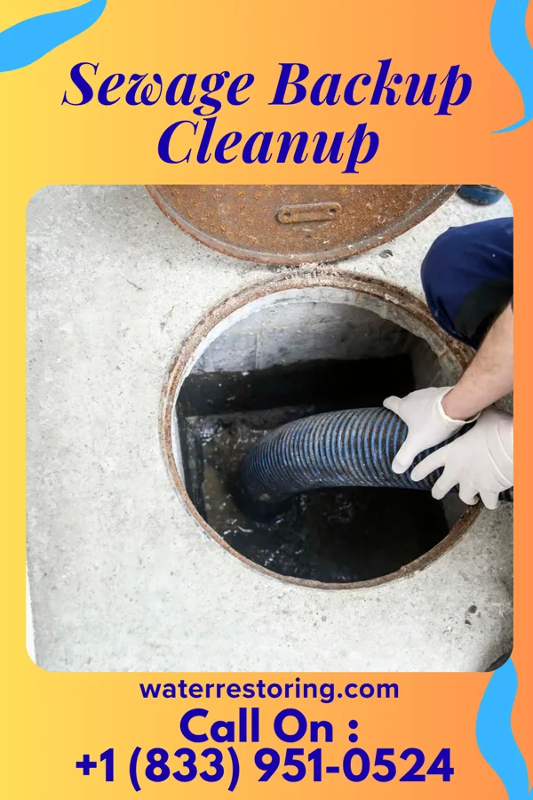 Sewage Backup Cleanup in Carrollwood, FL
